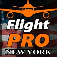 Pro Flight Simulator 2 - New Y