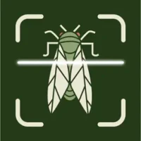 Bug Insect Identifier