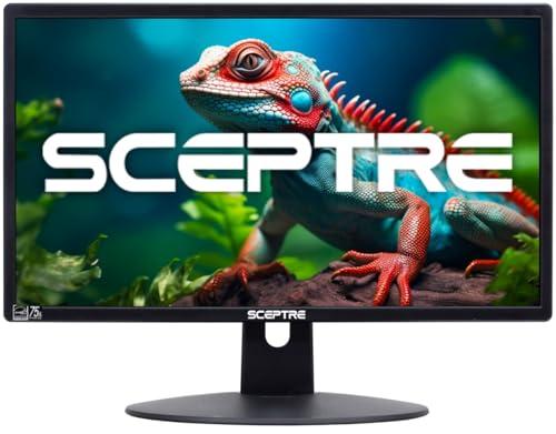 Assessing the Sceptre 20” Monitor: Performance and Features
