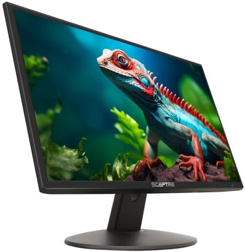 assessing the Sceptre 20” ⁤Monitor: Performance and Features