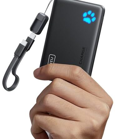 INIU Portable Charger, Ultra Slim 10000mAh 45W PD Power Bank, USB C in&Out Fast Charging Battery Pack, Travel Essential Phone Powerbank Compatible with iPhone 16 15 14 Samsung S22 S21 Google iPad etc