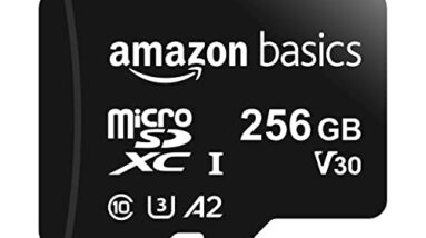 Amazon Basics Micro SDXC Memory Card with Full Size Adapter, A2, U3, Read Speed up to 100 MB/s, 256 GB, Black